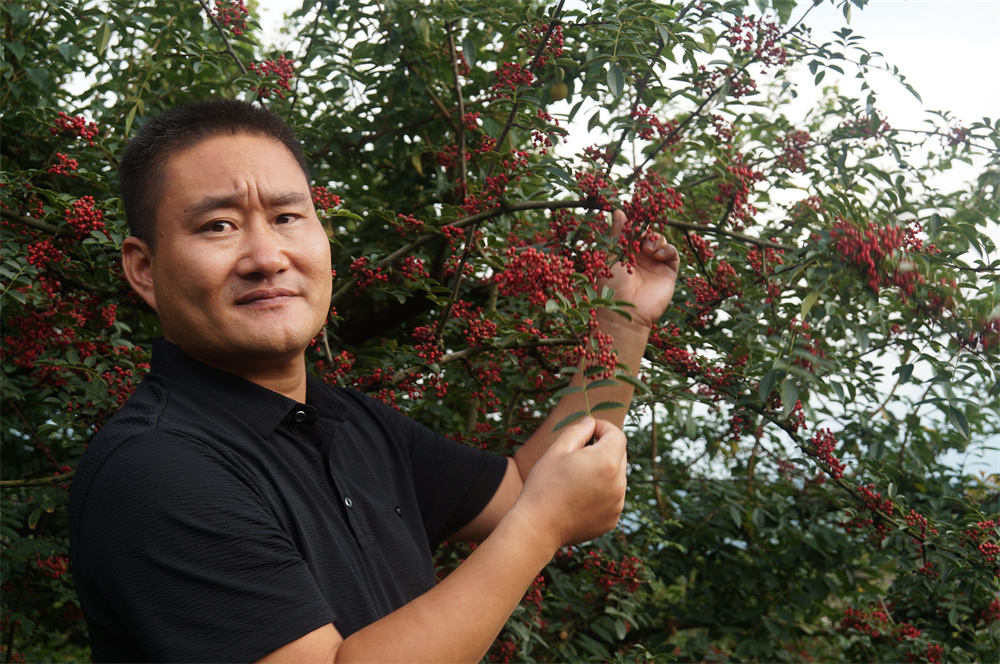 新宝GG2022大事记